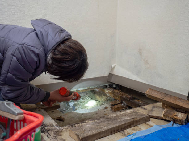Asbestos and Lead Testing During Mold Inspection in Warrensburg, IL