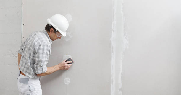 Best Mold Removal for HVAC Installations  in Warrensburg, IL