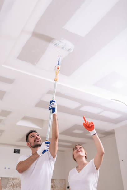 Best Industrial Mold Remediation  in Warrensburg, IL