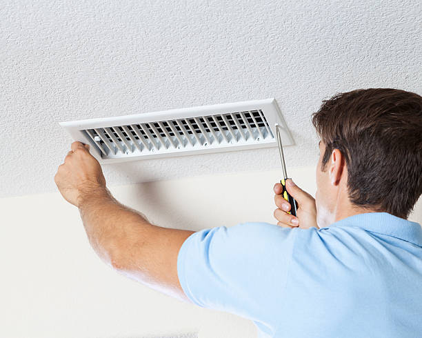 Best Mold Damage Restoration  in Warrensburg, IL