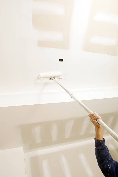 Best Air Quality Testing for Mold Spores  in Warrensburg, IL