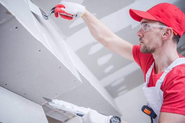  Warrensburg, IL Mold Removal Pros