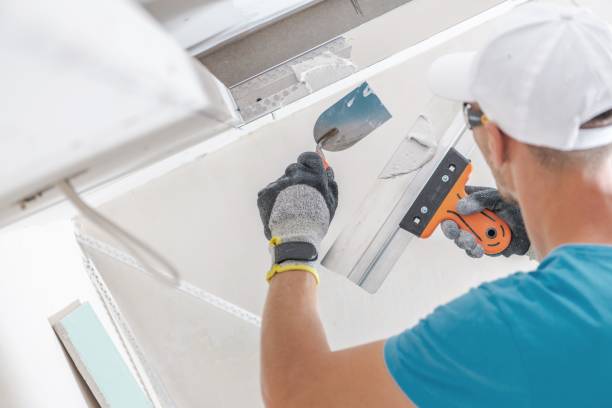 Best Mold Remediation for Healthcare Facilities  in Warrensburg, IL